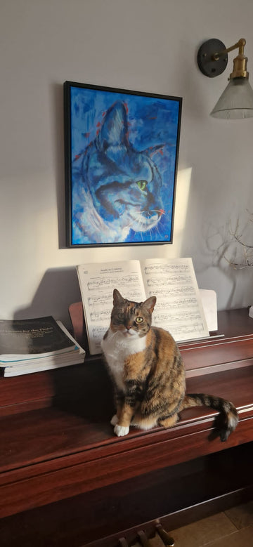 Amber the cat